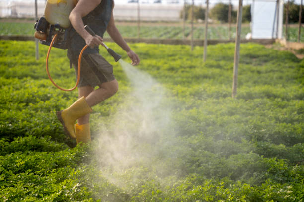 Best Exterminator Services  in Dunlap, IL
