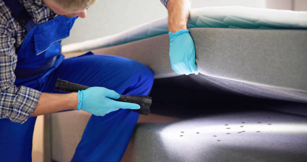 Best Pest Control for Restaurants  in Dunlap, IL