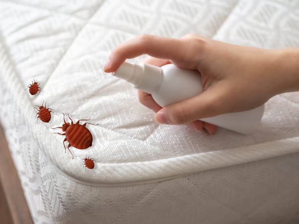 Best Pest Control Near Me  in Dunlap, IL