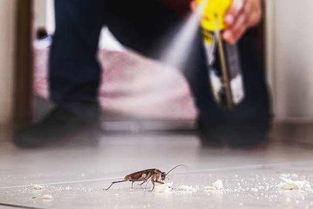 Best Emergency Pest Control  in Dunlap, IL