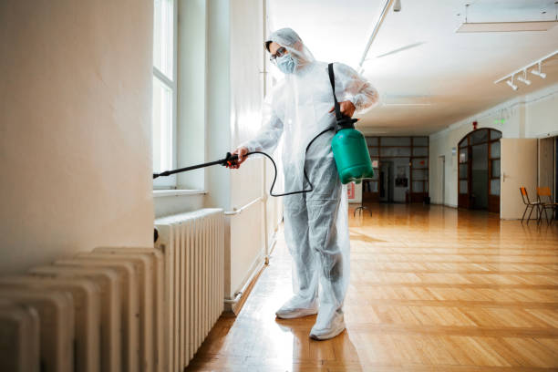 Best Termite Control Services  in Dunlap, IL