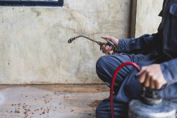 Best Cockroach Control Services  in Dunlap, IL