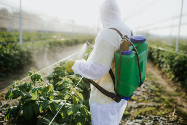 Best Residential Pest Control  in Dunlap, IL